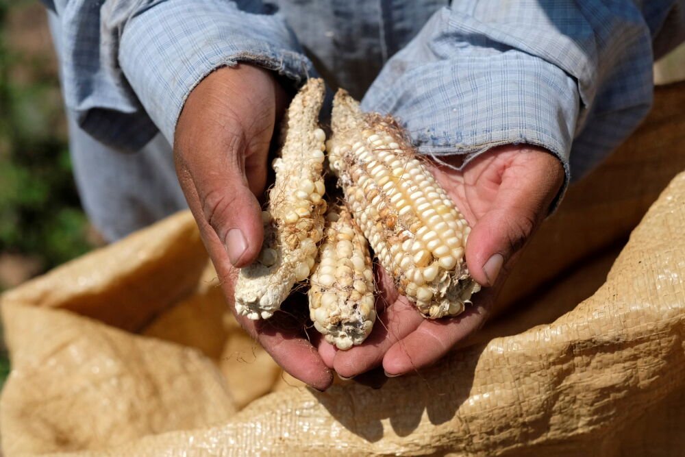 food shortage   i