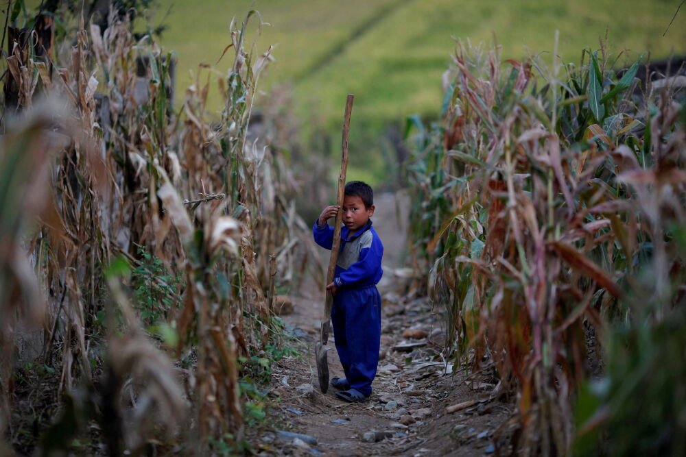 n korea food shortage   i